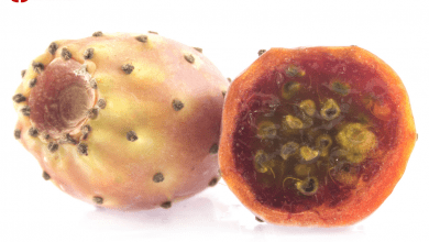 barbary fig benefits